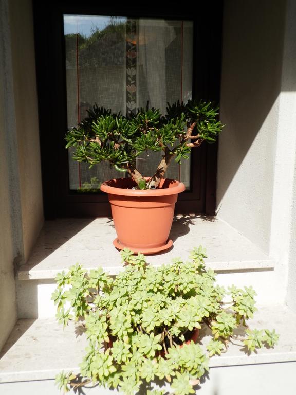 Apartment Andrija Vrbnik Exterior photo